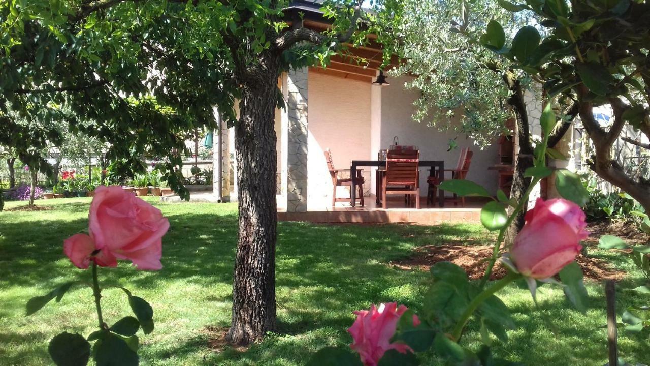 פורץ Apartment Anna מראה חיצוני תמונה